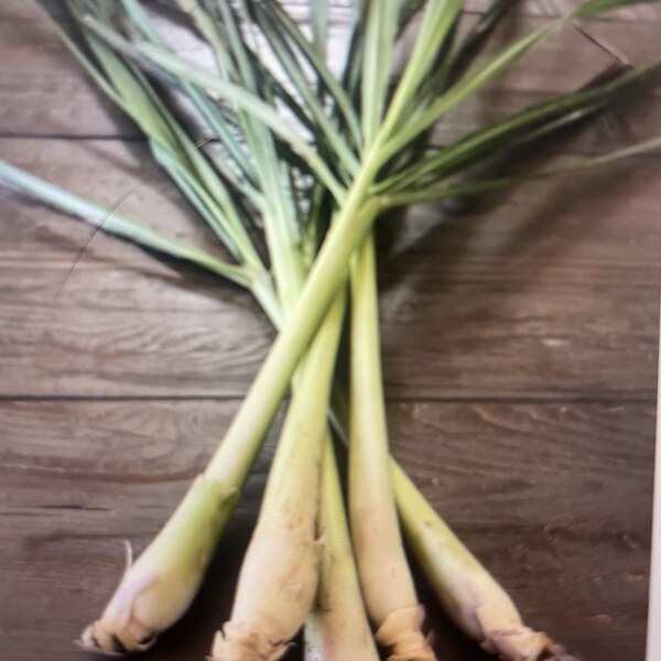 Lemongrass