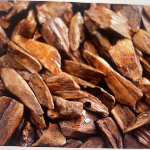 Oud wood